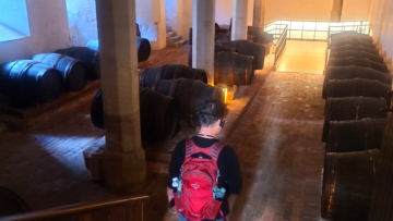 Prevention - J strapped into his daypack heading into the Hampton Court wine cellar with tour headphones on