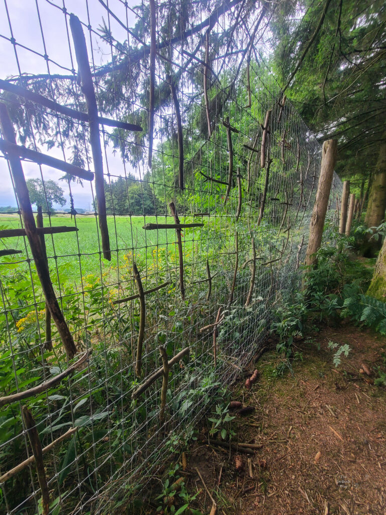 Wooden crosses woven into the fencing in the Ardennes Forest